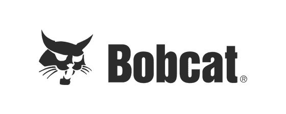 Bobcat